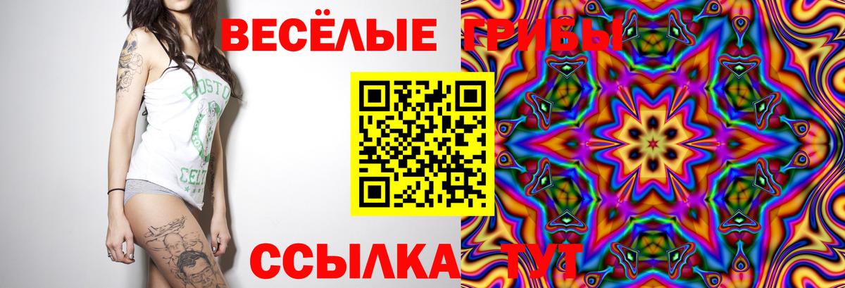 Псилоцибиновые грибы Psilocybe Лабинск