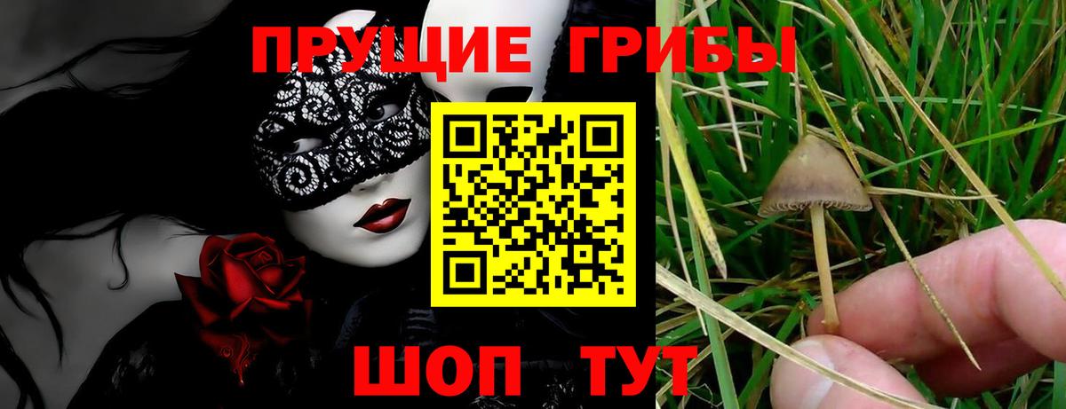 Псилоцибиновые грибы ЛСД  Вход с VPN  Лабинск  Галлюциногенные грибы Magic Shrooms 